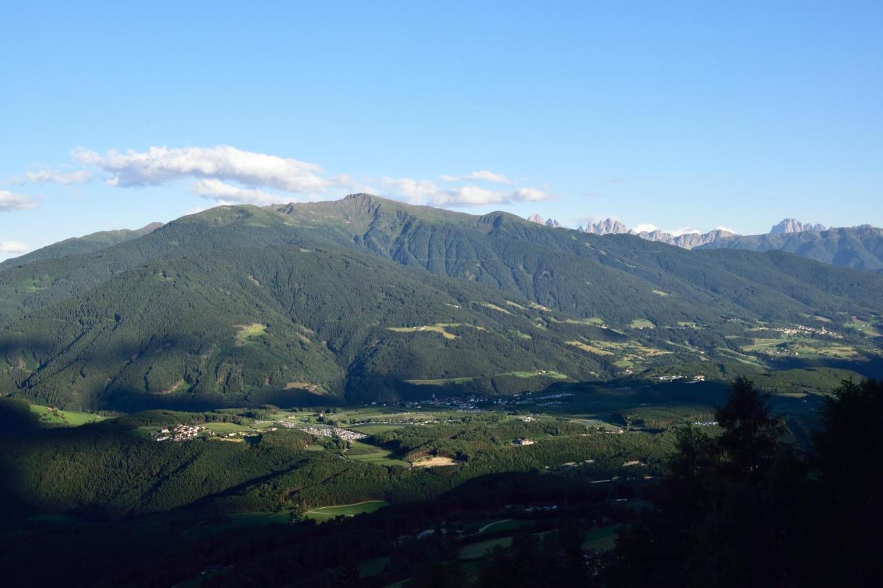 Traterhof-Spinges Villa Rio di Pusteria Eksteriør bilde