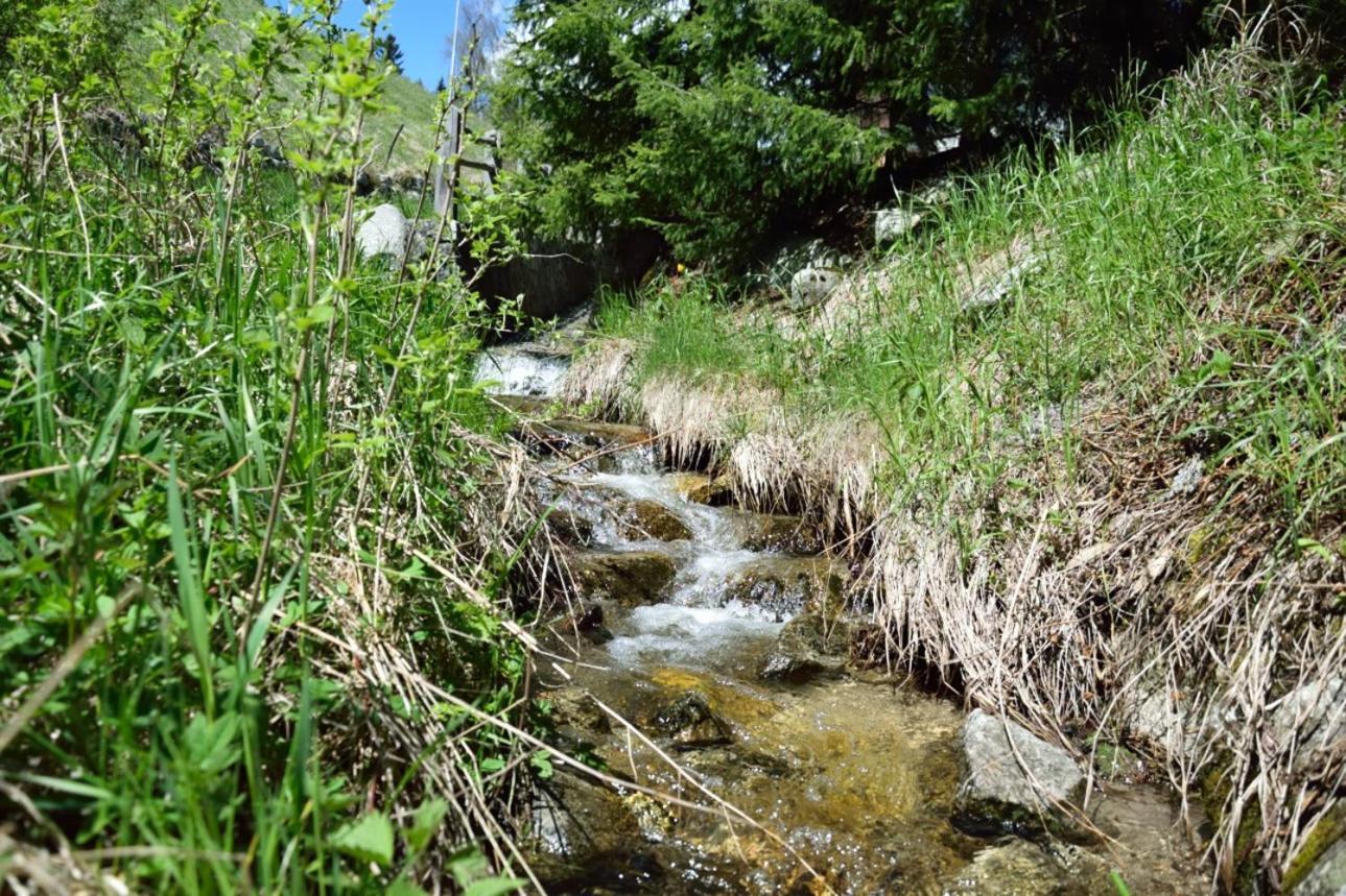 Traterhof-Spinges Villa Rio di Pusteria Eksteriør bilde