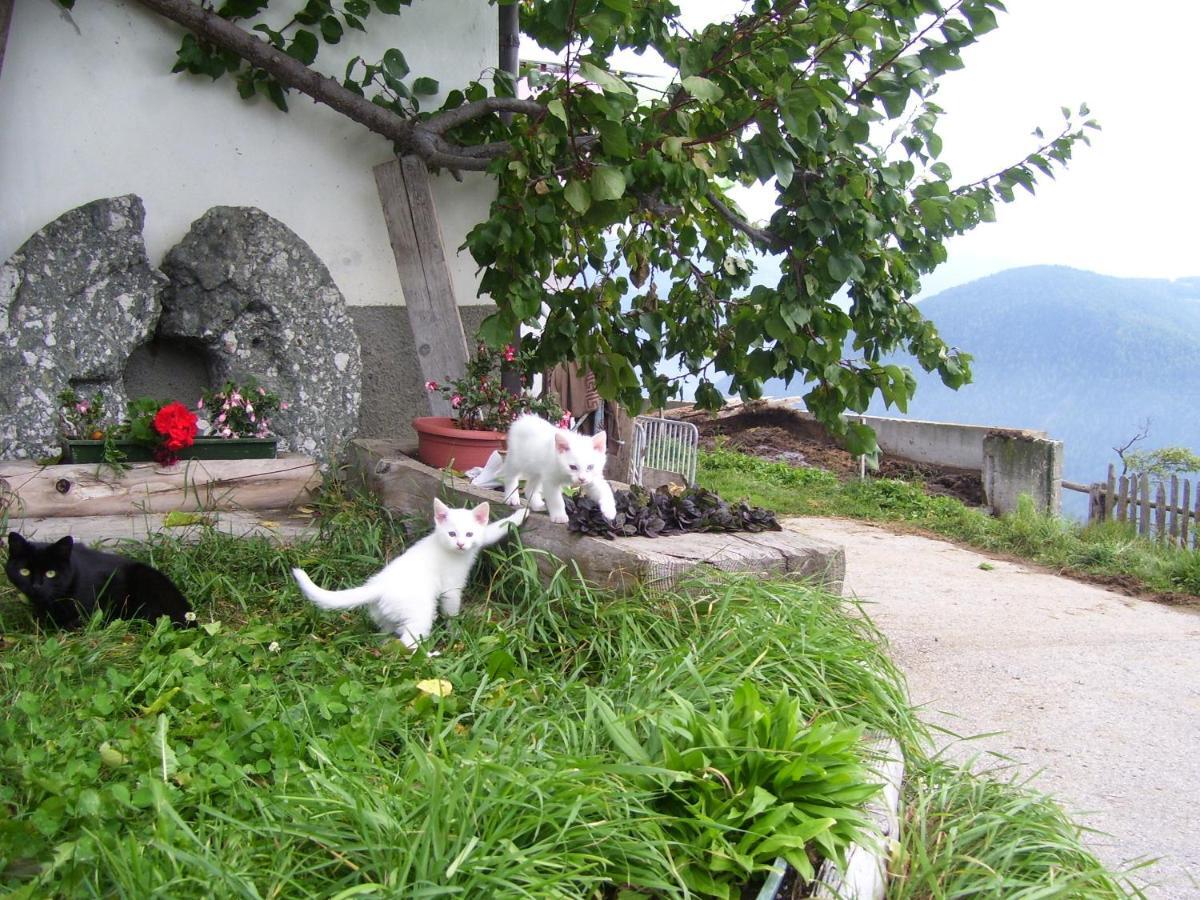 Traterhof-Spinges Villa Rio di Pusteria Eksteriør bilde